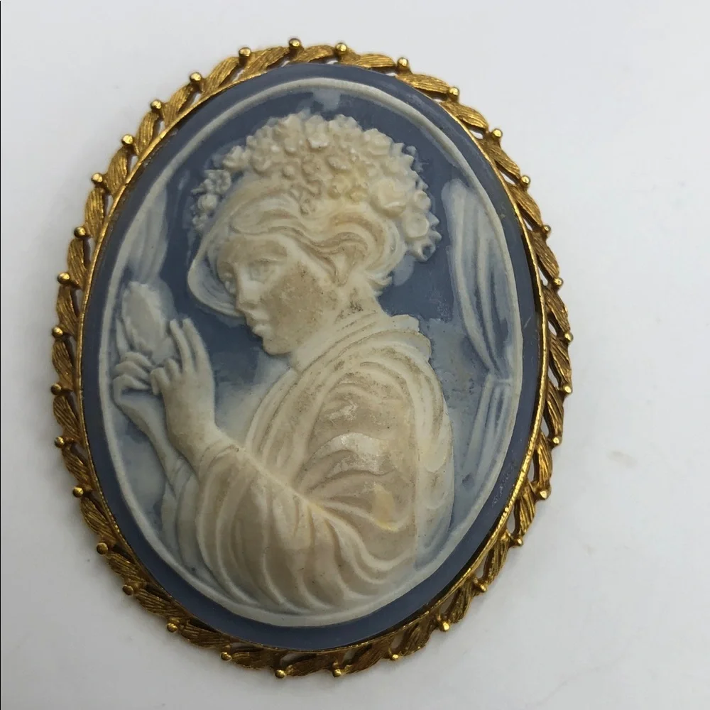 Vintage Classy Blue and Cream Cameo Brooch - Profile Woman